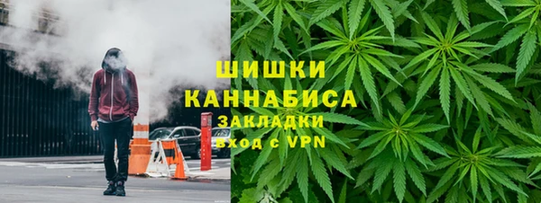 прущие грибы Богданович